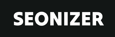 логотип компании www.seonizer.me